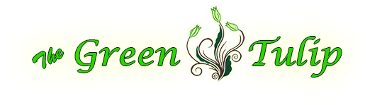 Green Tulip
